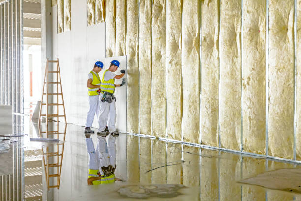 Best Insulation Maintenance and Repair in Anna, IL